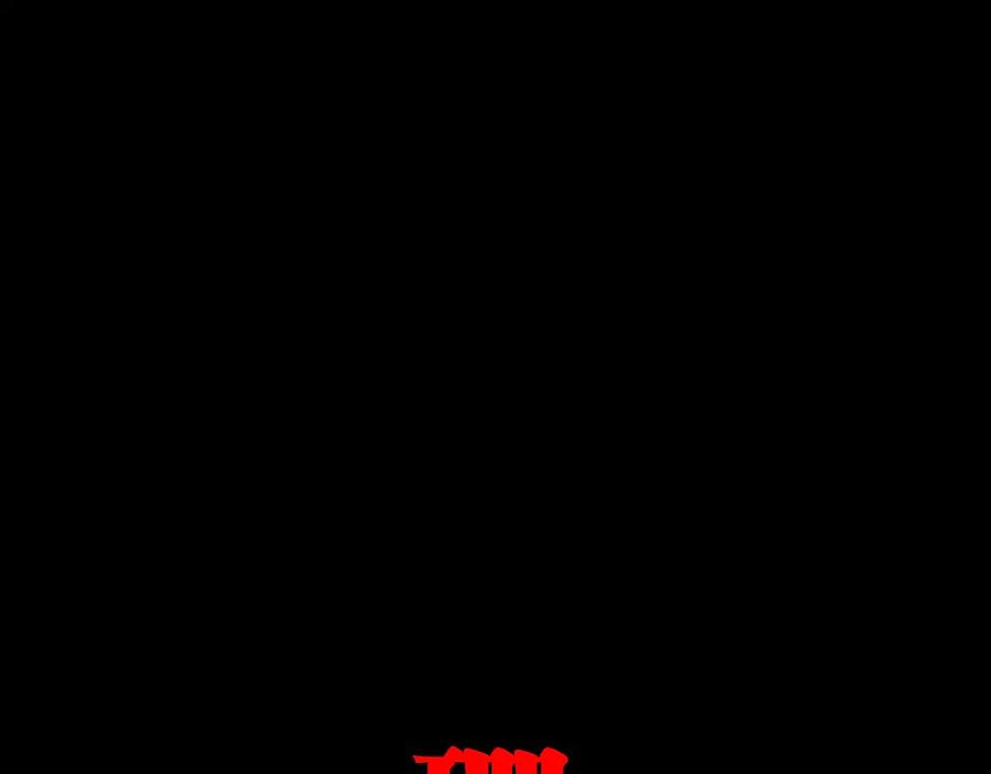 223.jpg
