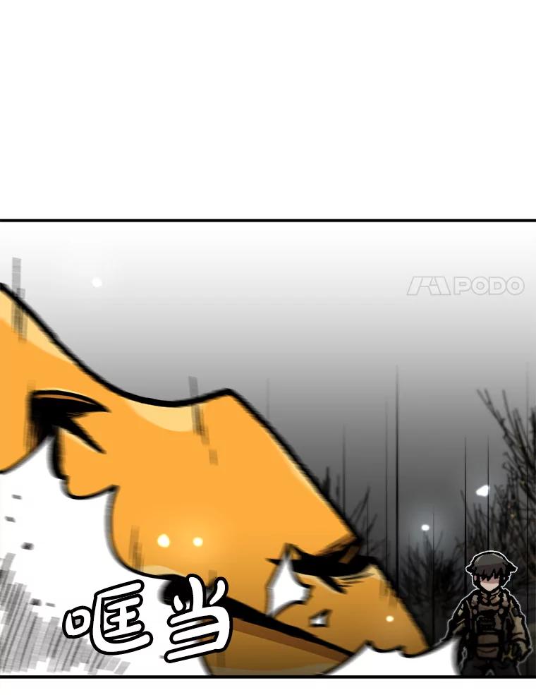 78.jpg