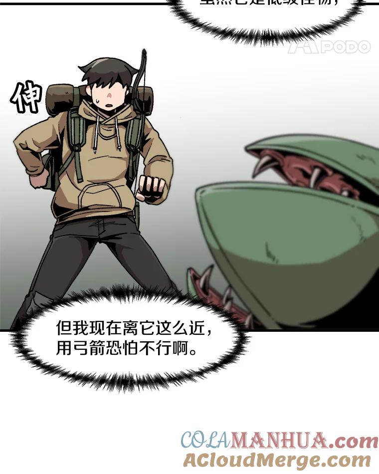 46.jpg