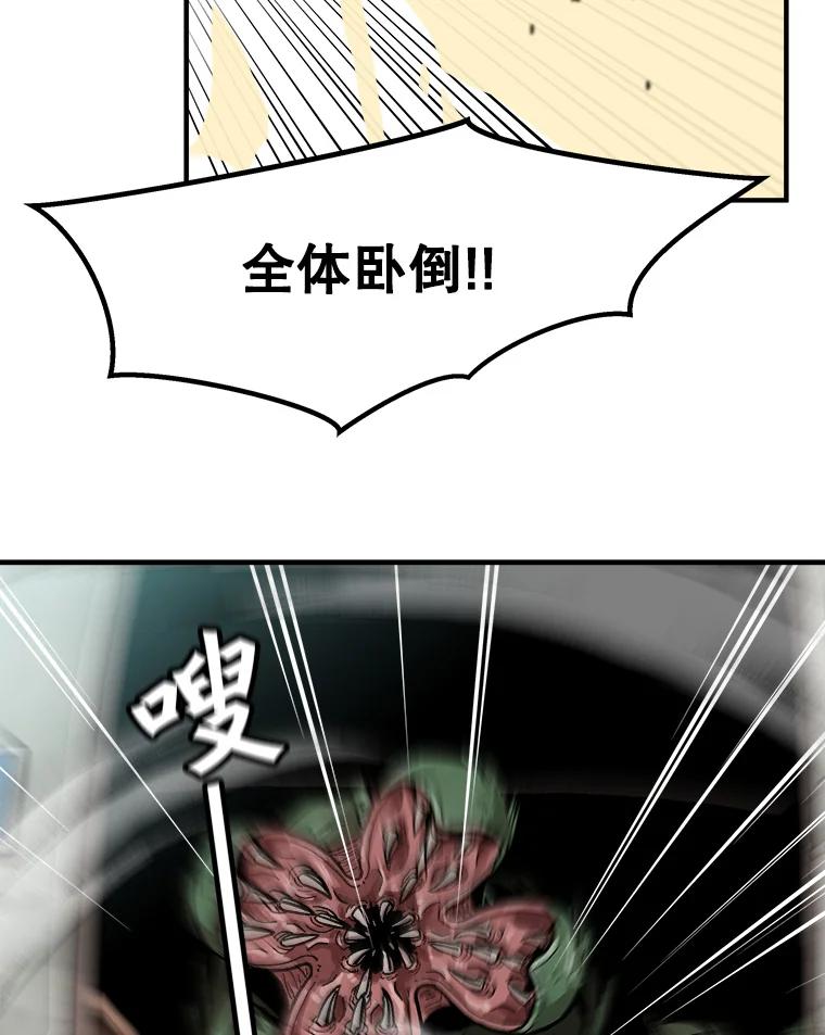48.jpg