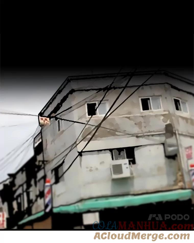 51.jpg