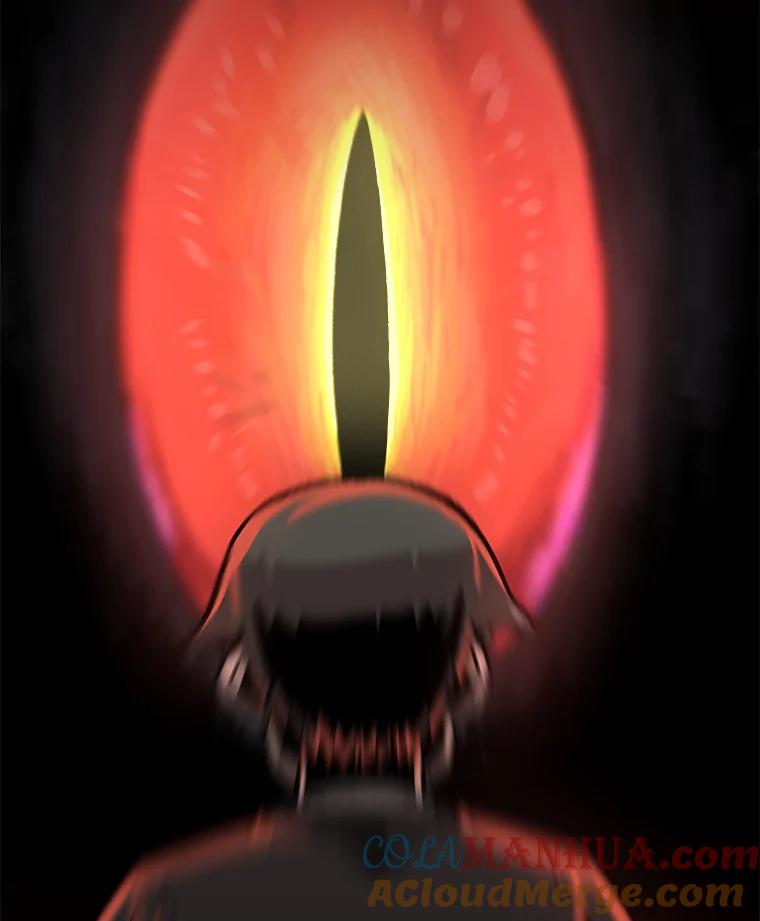 79.jpg