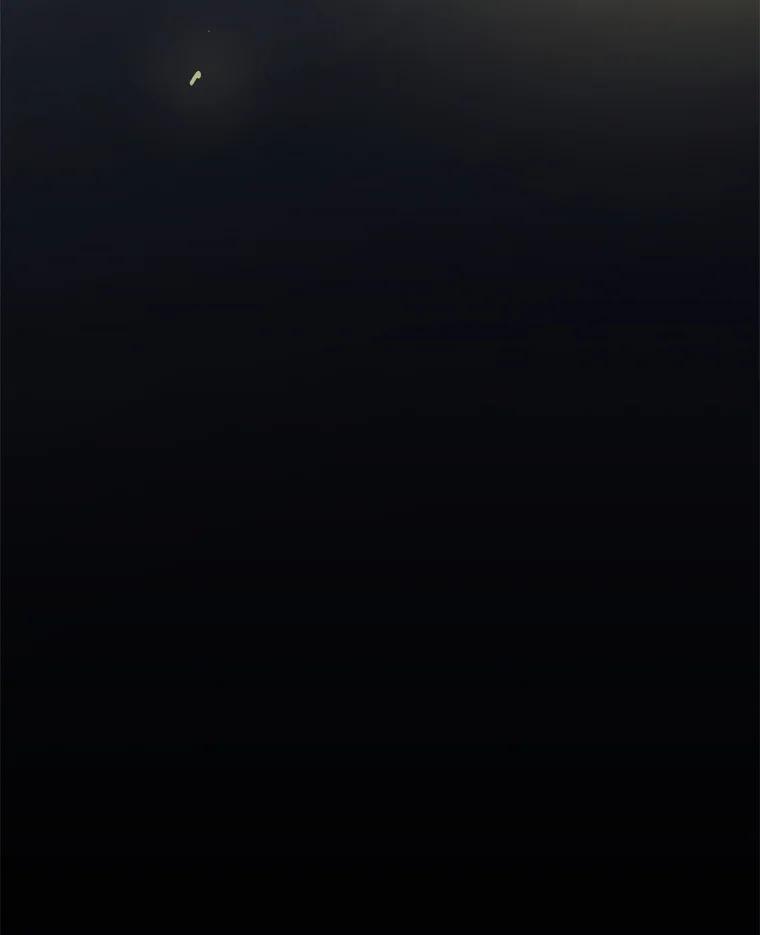 98.jpg