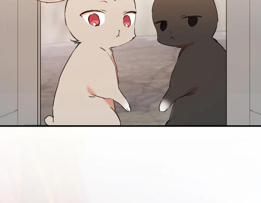 210.jpg