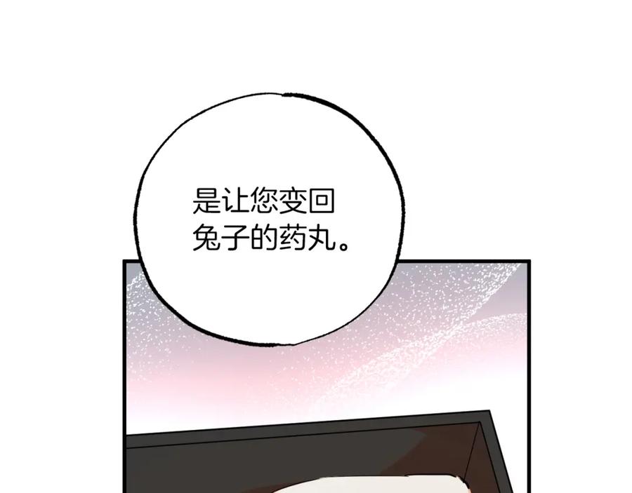 176.jpg