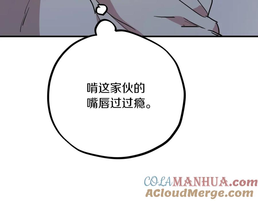 213.jpg