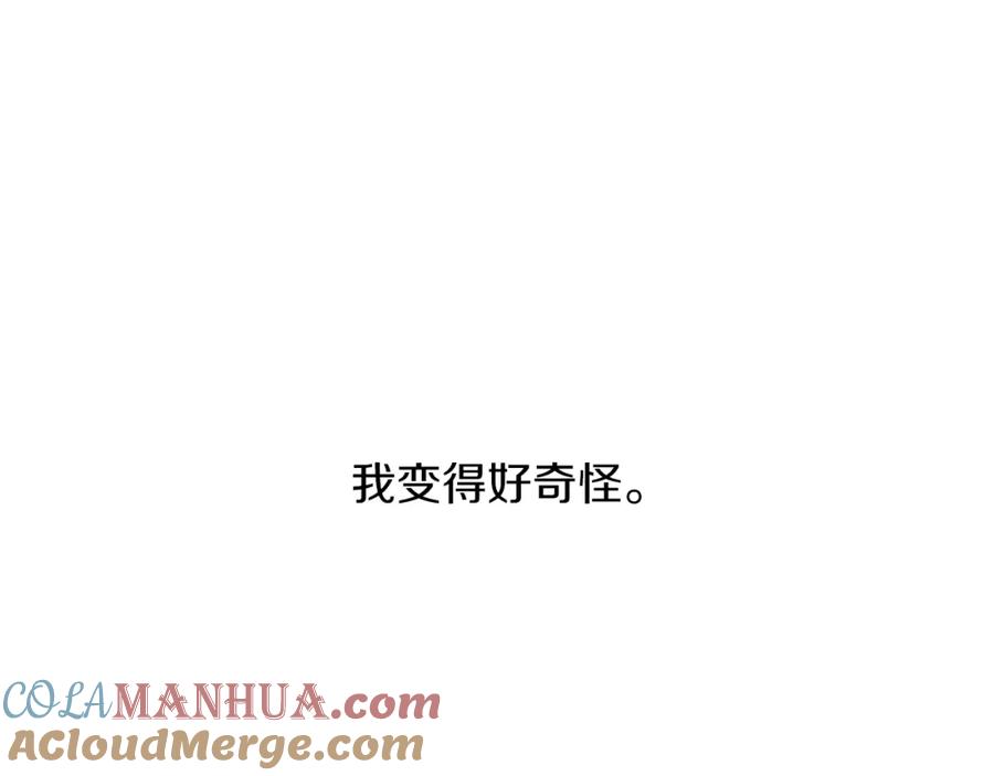 221.jpg