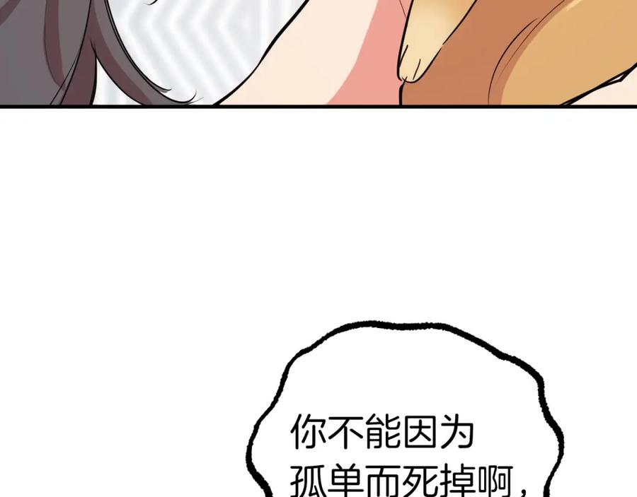 223.jpg
