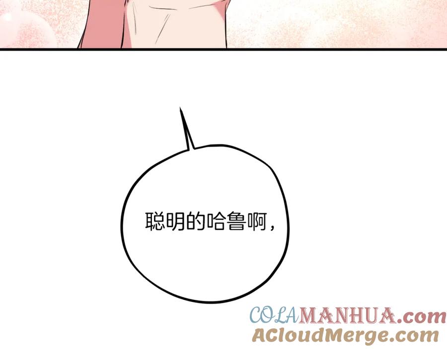 205.jpg