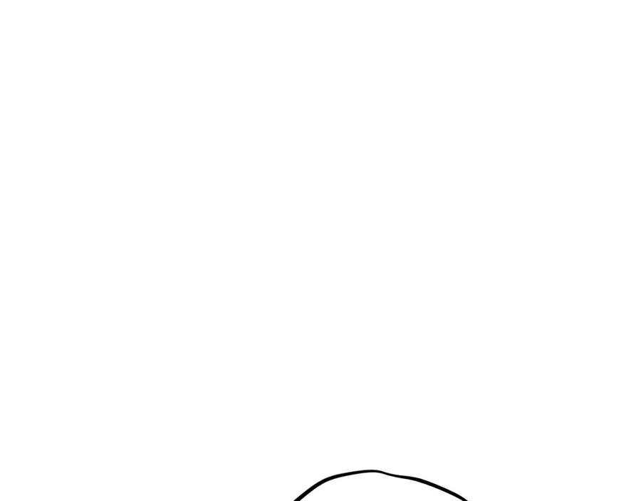 223.jpg