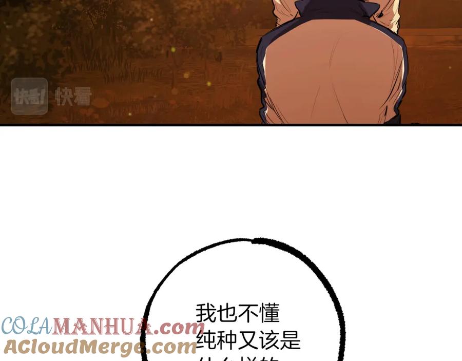 185.jpg