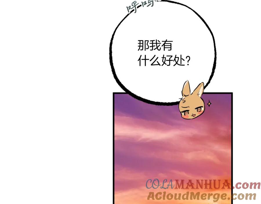 205.jpg