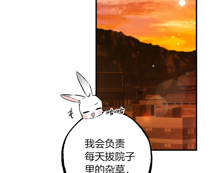 206.jpg