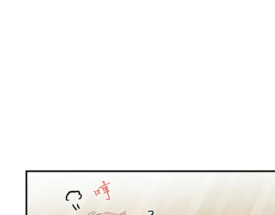 243.jpg