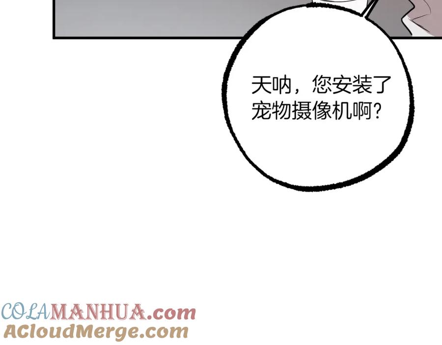 101.jpg