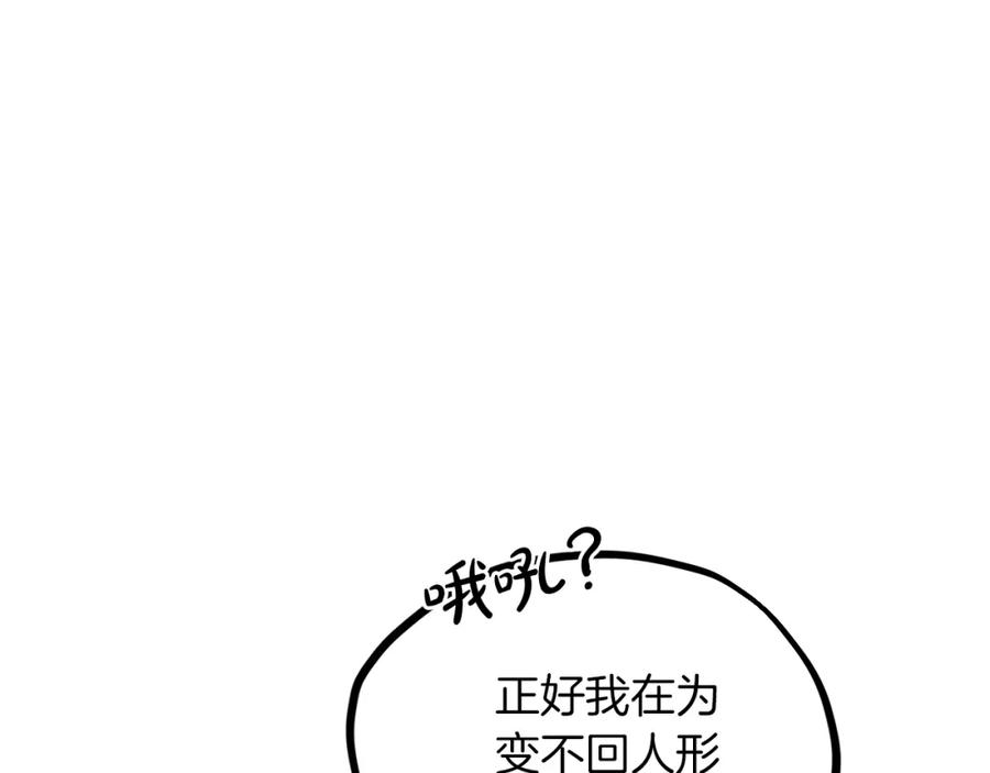191.jpg
