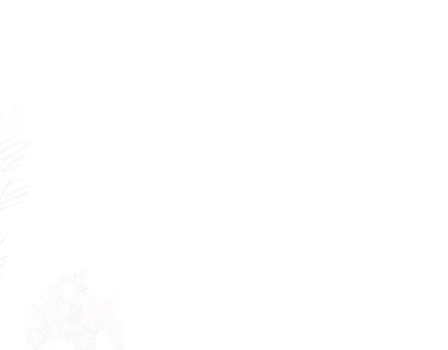 222.jpg