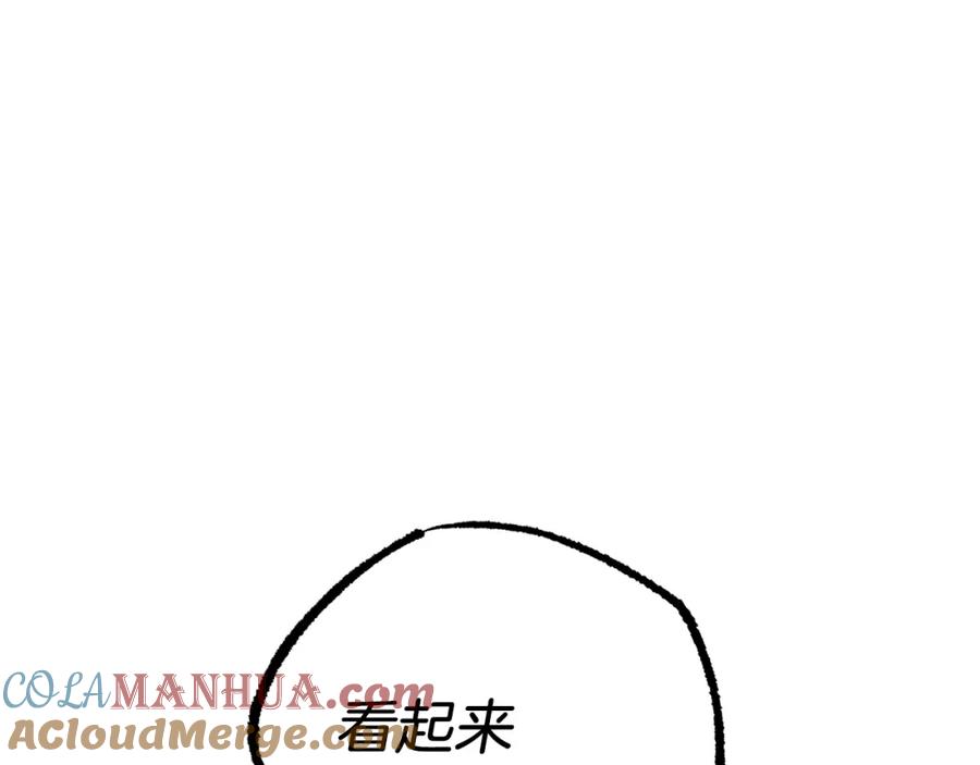 141.jpg