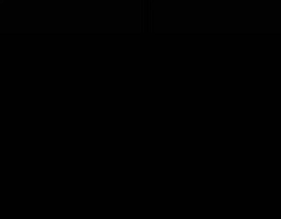 142.jpg
