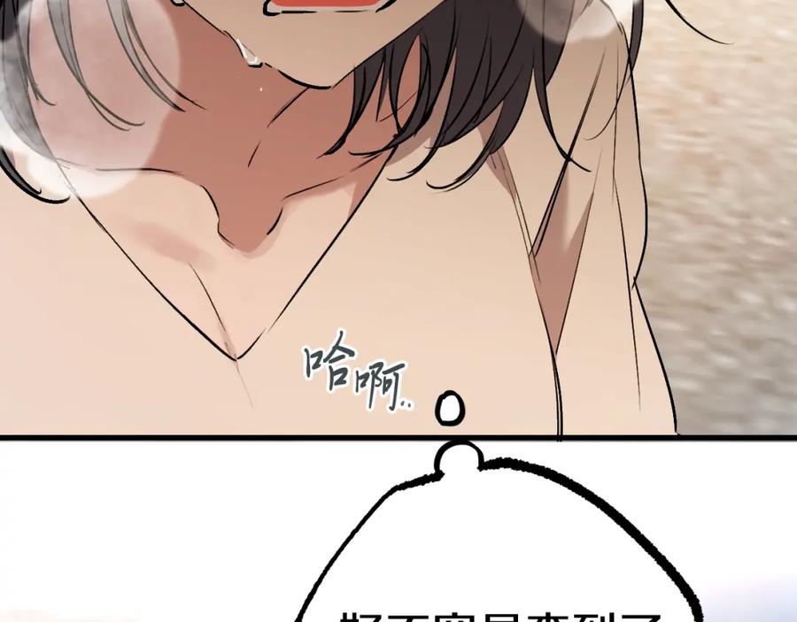 196.jpg