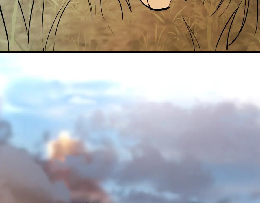 203.jpg