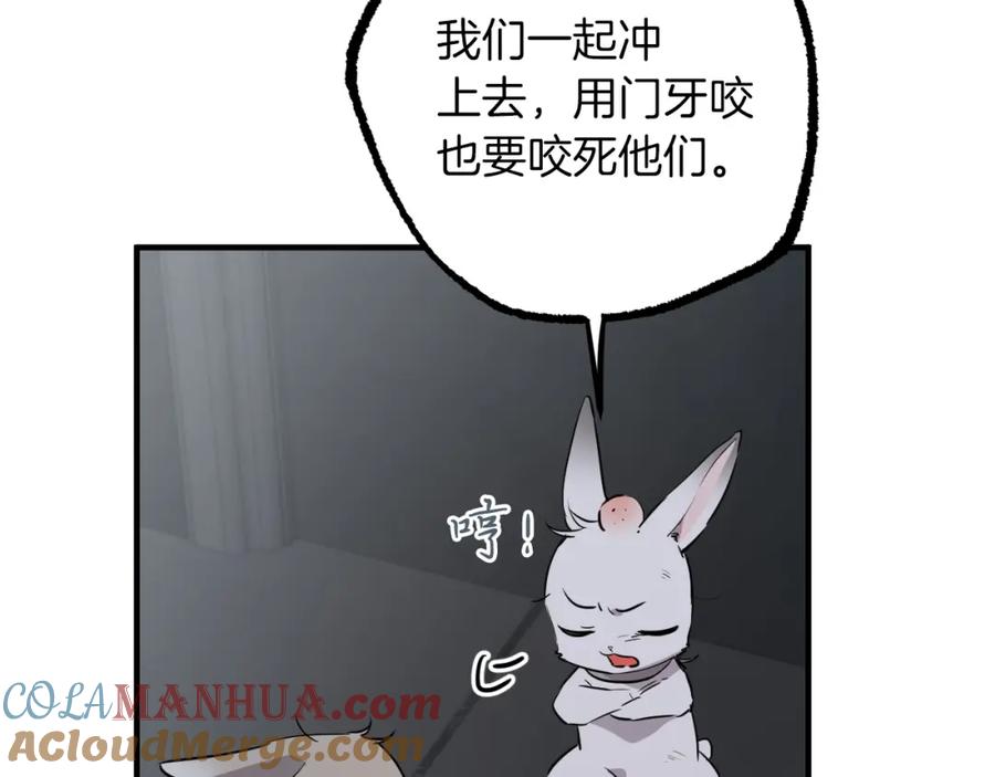 121.jpg