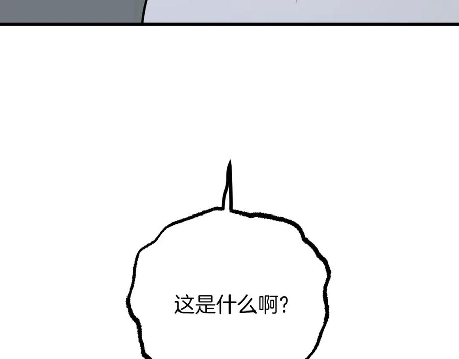 167.jpg