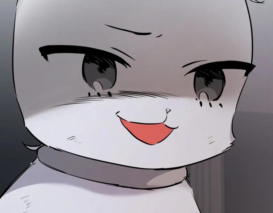 239.jpg
