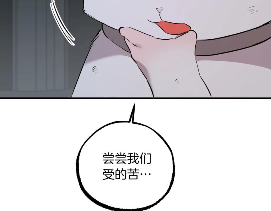231.jpg