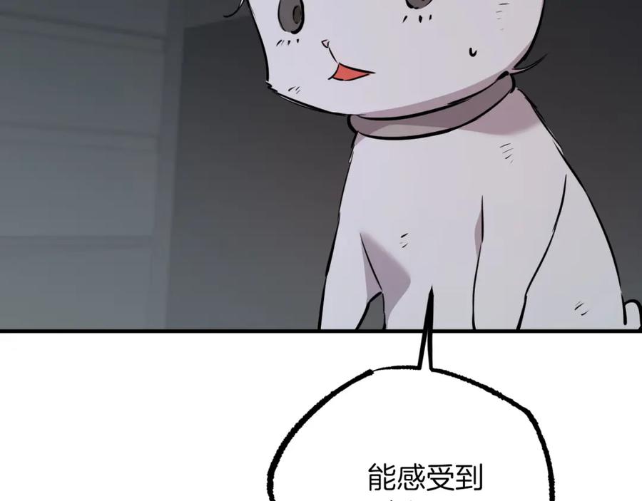 178.jpg
