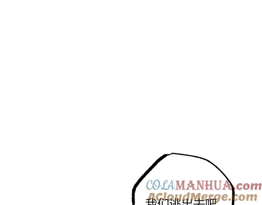 113.jpg