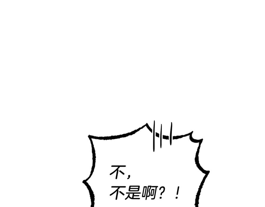 144.jpg