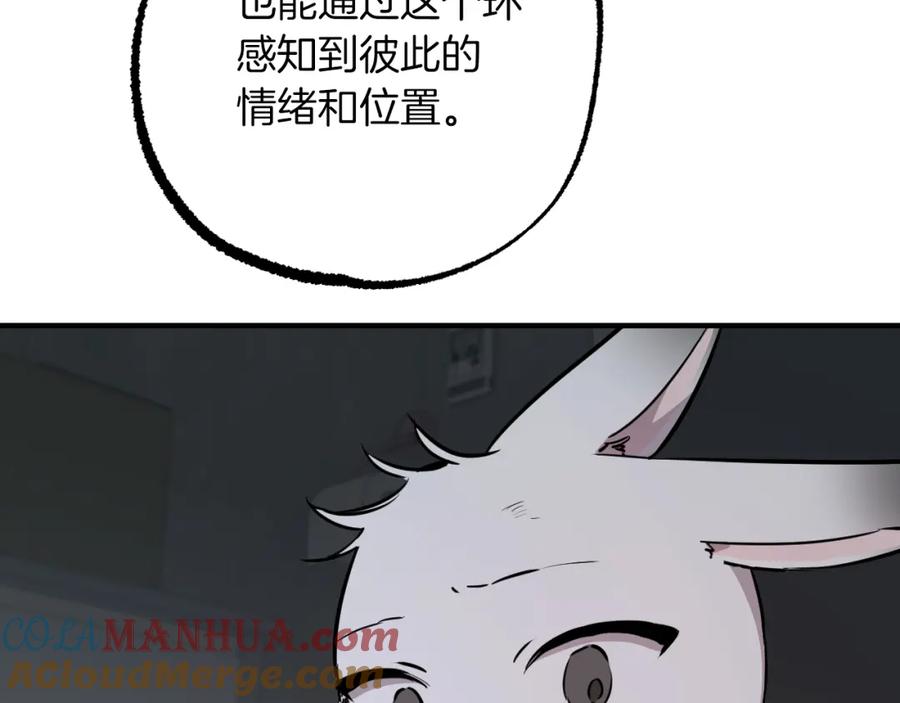 177.jpg