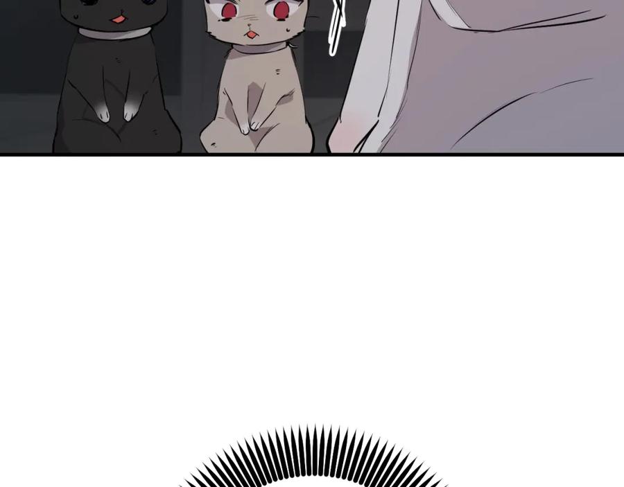 203.jpg
