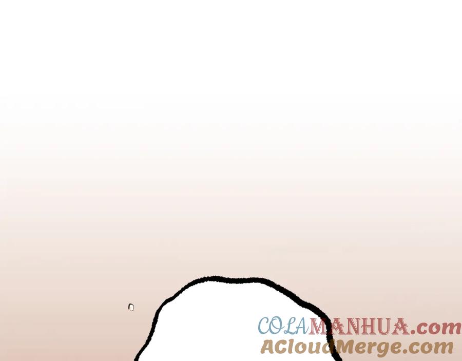 245.jpg