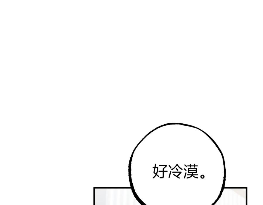 146.jpg