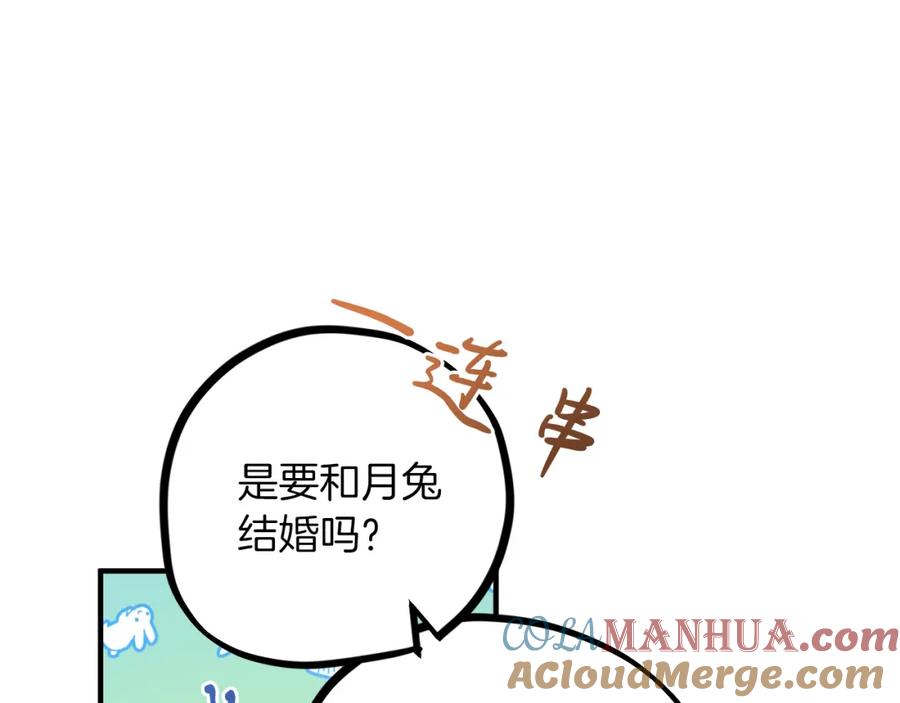 97.jpg