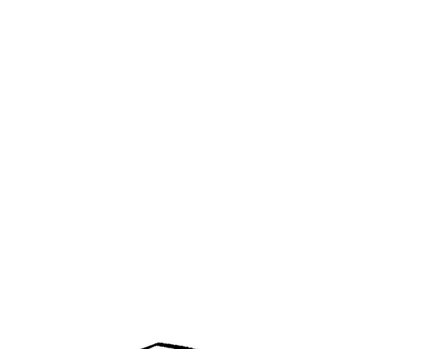 86.jpg