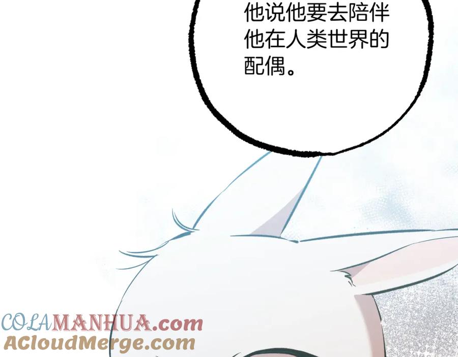 213.jpg
