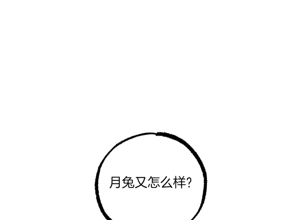 203.jpg