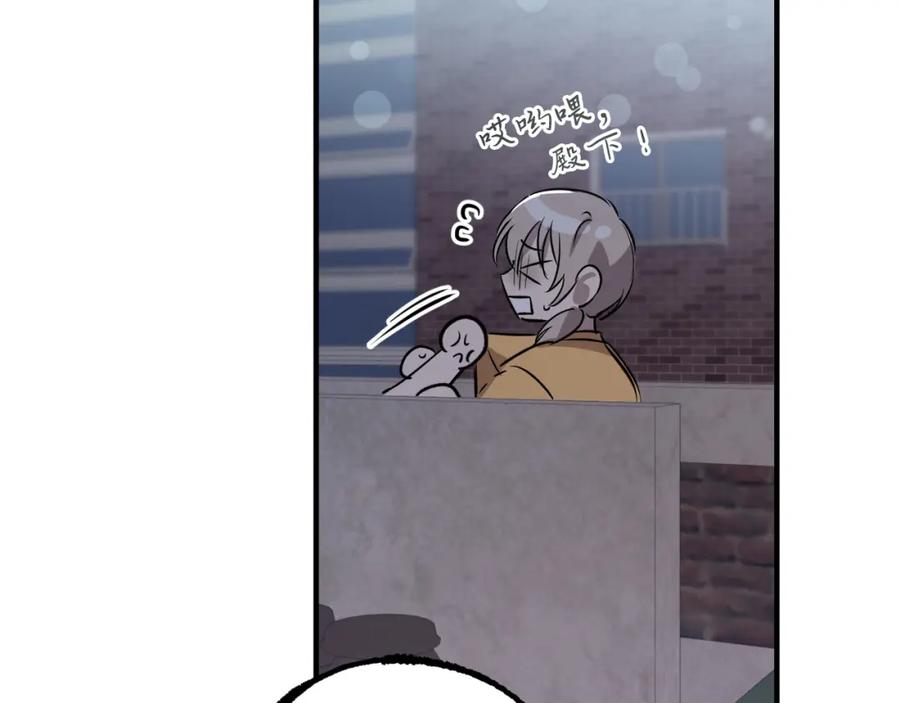 106.jpg