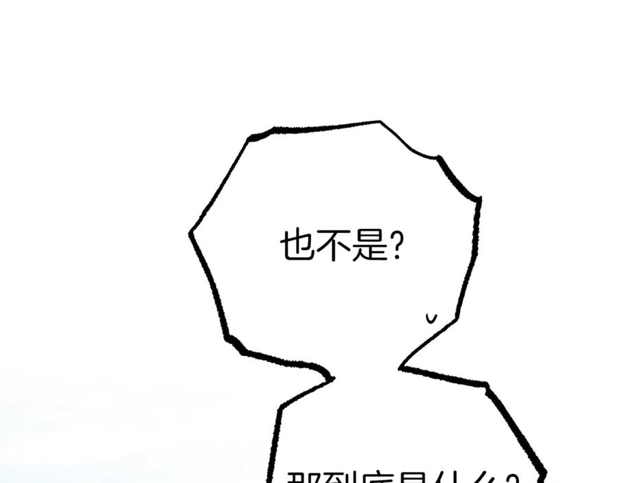 260.jpg