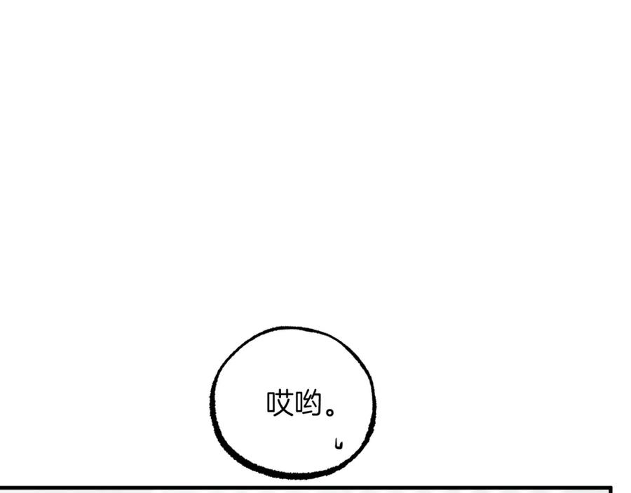 206.jpg