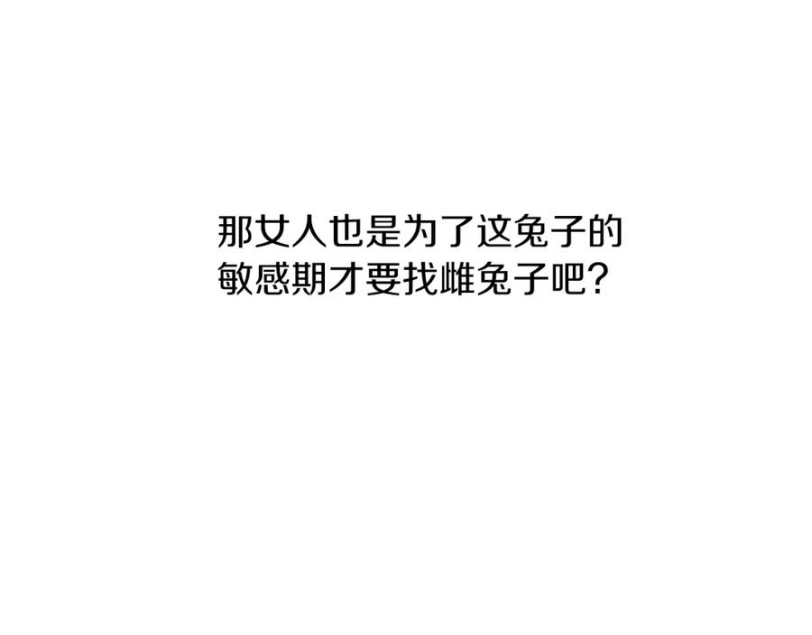66.jpg