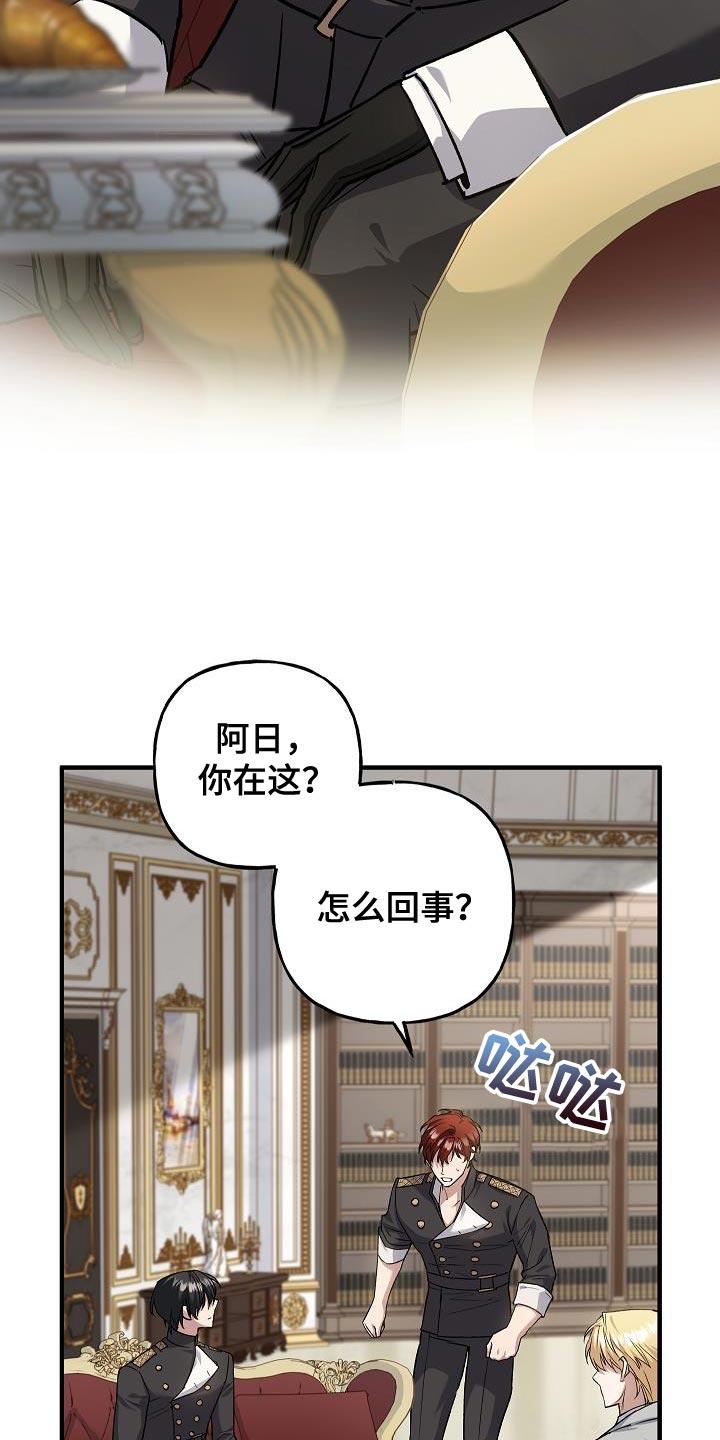 第68章：【第二季】亲自面见陛下-魔兵传奇-UIianem（第19张）