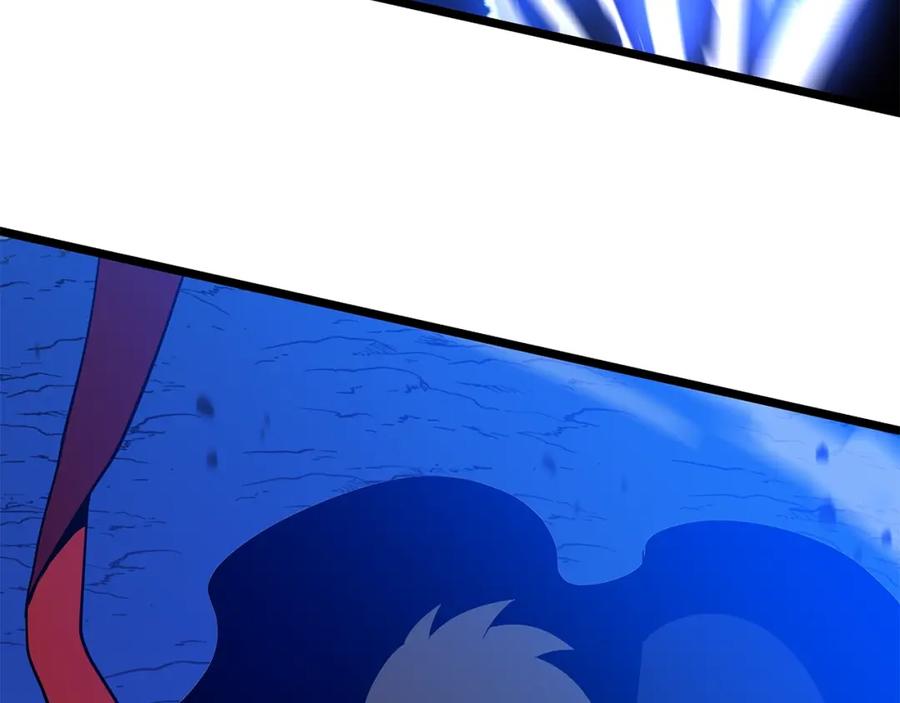 243.jpg
