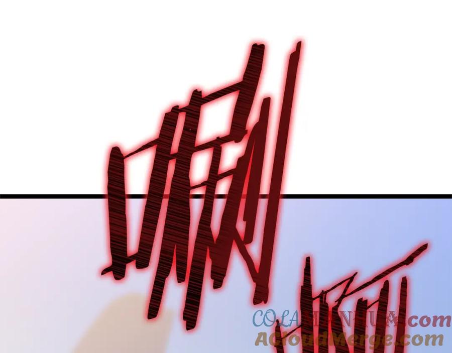 221.jpg