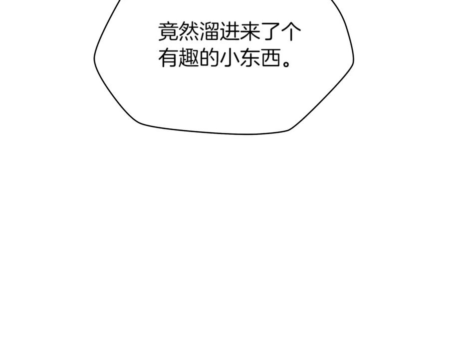 91.jpg