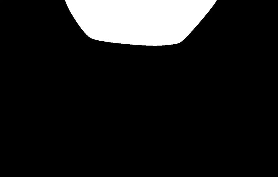 239.jpg