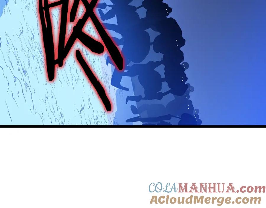 113.jpg